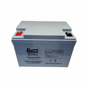 BAACE恒力胶体蓄电池UNXJ12V65Ah(含配件卸货) 块