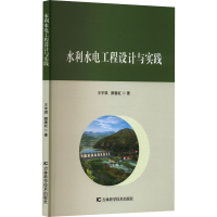 正版新书]水利水电工程设计与实践王宇琪,颜春虹 著978757441218