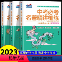 [初中全3册]中考必考名著精讲细练 [正版]中考必考名著精讲细练人教版2023新版七八九年级名著导读与考点精练初中全一册
