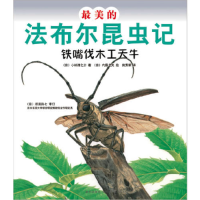 正版新书]铁嘴伐木工天牛-最美的法布尔昆虫记小林清之介9787513