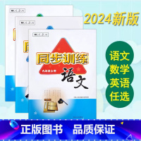 英语(2023) 九年级上 [正版]2024人教版初中同步训练语文数学英语同步练习册九年级上下册9年级基础达标测试一课一