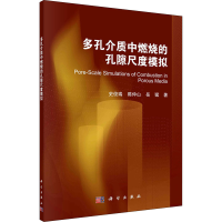 醉染图书多孔介质中燃烧的孔隙尺度模拟9787030689931