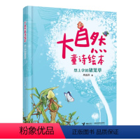 想上学的猪笼草 [正版]接力出版社想上学的猪笼草 大自然童诗绘本 巩孺萍作品拼音版图画书儿童诗歌启蒙认知早教亲子共读自然