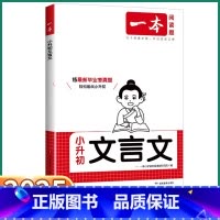 小升初文言文 小学升初中 [正版]2025新版 小升初文言文阅读考点精讲六年级上册下册语文人教版全国通用小学升初中视频讲