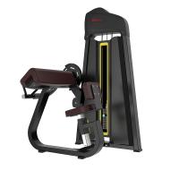 扬子(YANGZI)四十五度三头屈伸YZ-TB28