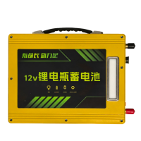 祝鑫 锂电瓶蓄电池 12v 个