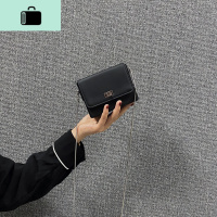 今年流行的超迷你包包女2020新款潮ins百搭仙女斜挎质感链条小包NEW LAKE女斜挎包