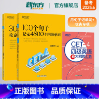 [正版]新东方旗舰300个句子攻克大学英语四级+100个句子记完4500个四级单词+大纲词汇表 难点突破考点归纳句型核