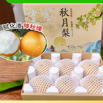 秋月梨羊脂梨子冰糖莱阳当季鲜果 彩箱6粒装 4.8斤起 (单果350g+)