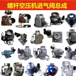 博莱特进气阀总成(含安装) 型号1625165302,单位套