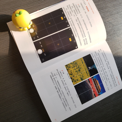 日光绘画 零基础玩转手机摄影后期修图
