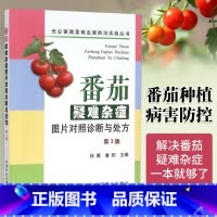 [正版]番茄疑难杂症图片对照诊断与处方 第3版 番茄病虫害 番茄栽培技术从入门到精通 蔬菜种植技术书籍 农业书籍 蔬菜