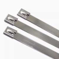 淮舜物资 不锈钢扎带 8*550 单位根