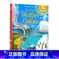 揭密天气 [正版]usborne出品精装 145元3件 英文原版绘本See Inside偷偷看里面揭秘系列大开本 幼儿童