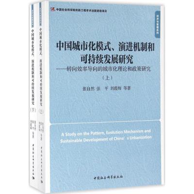 中国城市化模式、演进机制和可持续发展研究(上、下册)