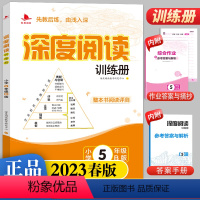 语文 五年级下 [正版]2023春版深度阅读训练册小学五年级B版人教版注音版5年级语文上下册通用课外练习册阅读理解看图说