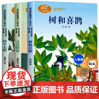 正版全套3册语文配套阅读 树和喜鹊 月亮船 四个太阳人教版一年级下册阅读课外书必读带拼音阅读小学生书籍金波注音版绘本