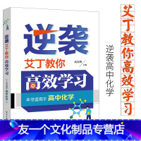 [友一个正版]逆袭艾丁教你高效学习(高中化学) 高东辉 一二三年级学生理科辅导书 物质量计算氧化还原溶液离子化学实验操