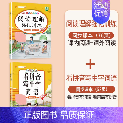 (2本)阅读理解+看拼音写生字词语 一年级上 [正版]同步人教版斗半匠小学语文专项训练一年级全套看拼音写词语二年级下册三