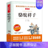 骆驼祥子 [正版]儒林外史五年级下册课外书必读 小学生版吴敬梓原著白话文无障碍阅读老师的青少年儿童文学经典书籍四至六年级