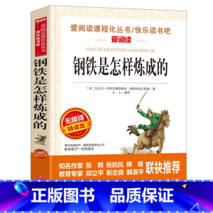 [正版]钢铁是怎样炼成的 原著 初中小学生课外阅读书籍八年级上册必读名著青少年完整版名师指导三四五六年级经典书目初二天