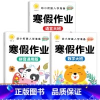 [3册]大班寒假作业(数学+拼音+语言) [正版]2024新版 幼儿园大班寒假作业全套 练习册寒假作业本 数学拼音语言幼