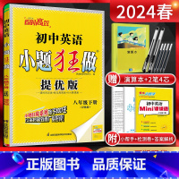 英语 八年级下 [正版]江苏版 2024春恩波教育提优版初中英语八年级下册 译林版YL 初二8年级下学期同步课时作业训练