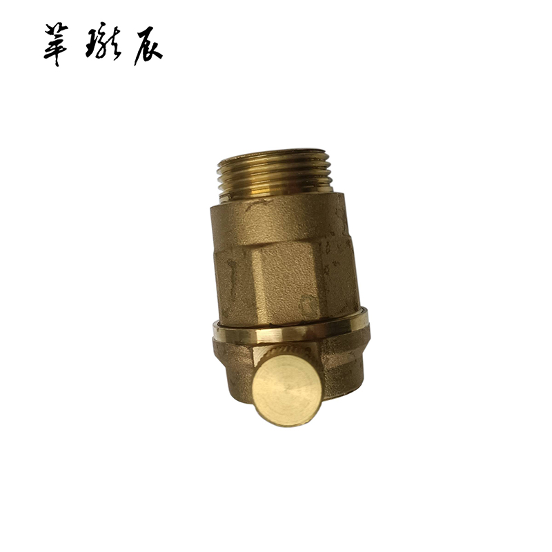 萃珑辰 自动排气阀 DN20 个