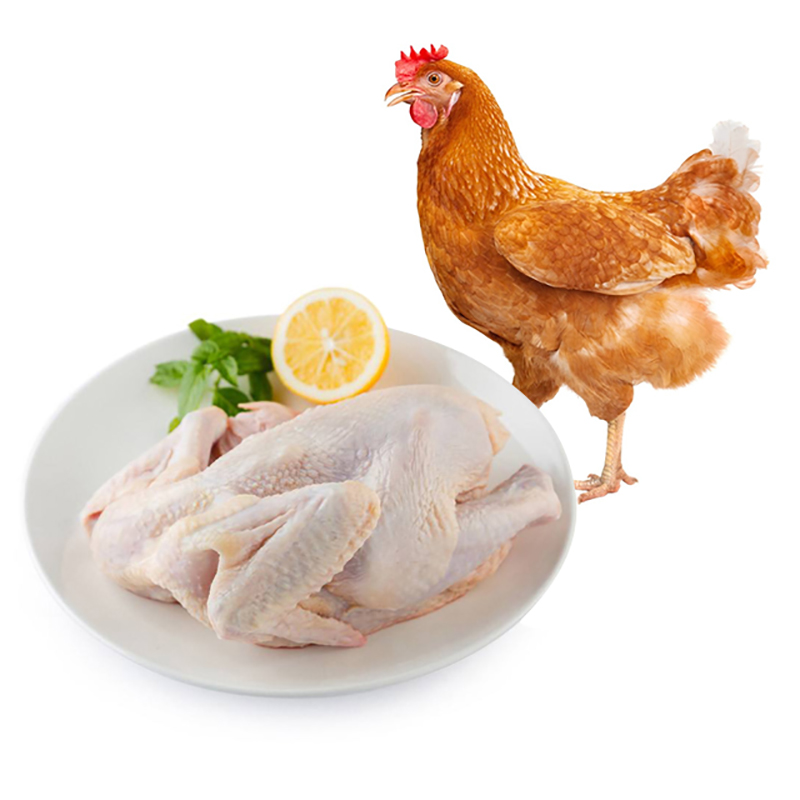 【俩只装】大用 农家童子鸡450g/只 新鲜整鸡禽肉鸡肉净膛鸡土鸡冷鲜