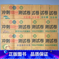 全套10册-幼小衔接 冲刺100分测试卷 [正版]幼小衔接冲刺100分测试卷汉语拼音语言数学试卷一日一练幼儿园中大班练习