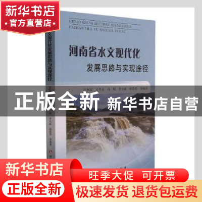 正版 河南省水文现代化发展思路与实现途径 岳利军,王冬至,冯瑛