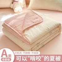新款刺绣夏被夏季天薄款空调被单人夏凉被可机洗水洗棉花被子被芯