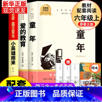 [全3册]六年级上册必读 赠考点 [正版]全套3册 童年爱的教育小英雄雨来六年级上册必读的课外书老师经典书目快乐读书吧高
