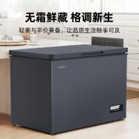 XINGX星星BD/BC-200W/DC 冰柜 家电 速冻 冷冻 冷藏