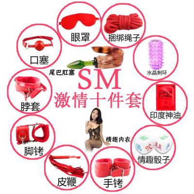 欢乐小鸟情趣用品SM刑具玩具女用成人眼罩口塞鞭子捆绑束缚另类性蜡烛胶带10件套红色+润滑剂+内衣+肛塞口塞口枷
