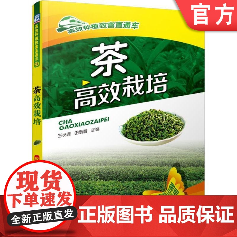 正版 茶高效栽培 田丽丽 种植致富直通车 农业经典实用技术图书 技能培训教材