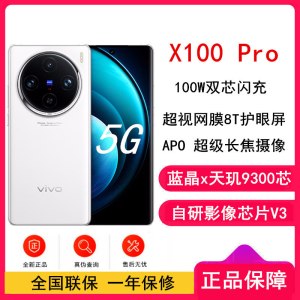 vivo X100 Pro 白月光 16GB+1TB 蓝晶x天玑9300旗舰芯 蔡司影像 LPDDR5X闪存 100W双芯闪充 5G拍照 全新自研影像芯片V3 手机