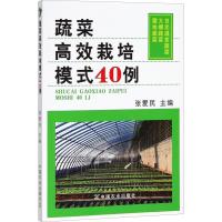 正版新书]蔬菜高效栽培模式40例张爱民9787109240544