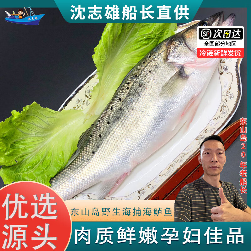 沈志雄船长 东山岛海鲜海钓七星鲈鱼 2条 袋装 2条总共1200g去肚后发货 保鲜