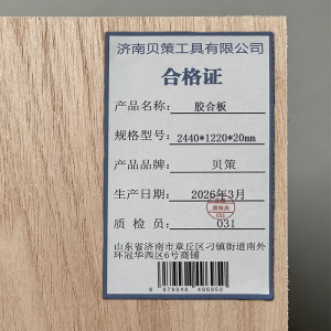贝策 胶合板 建筑模板 T型绝缘板