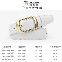 啄木鸟皮带女士2025新款休闲百搭真品针扣配牛仔裤皮腰带高级感潮