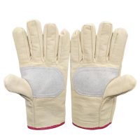 名佳荟萃帆布手套