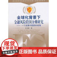 全球化背景下金融风险的跨国分摊研究——一个发展中国家的视角