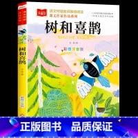 [单本]树和喜鹊(春天卷) [正版] 金波童话春夏秋冬美文注音版全套4册 树和喜鹊沙滩上的童话雨点儿阳光一年级阅读课外书