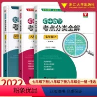 数学考点全分解 七年级下 [正版]初中数学考点分类全解七八九年级下浙教数学考点提炼版789年级初一二三下册数学解题专项训