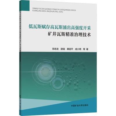 低瓦斯赋存高瓦斯涌出高强度开采矿井瓦斯精准治理技术