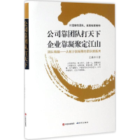 音像公司靠团队打天下 企业靠凝聚定江山王鹏华 著