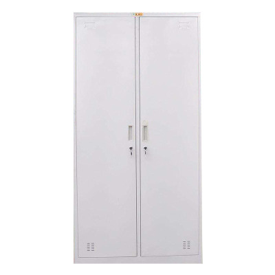 东业家具 二门更衣柜员工柜储物柜鞋柜DY-04G铁皮柜置物柜 1800*850*420