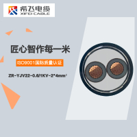 希飞牌 ZR-YJV22-0.6/1KV-2*4mm² 钢带铠装铜芯阻燃低压电缆 元/米 联系客服 定制商品