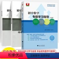 初中数学专题学习指导(全3册) 初中通用 [正版]中考数学压轴题破解策略题型全归纳 于16讲全解全练进阶特训归一总复习微